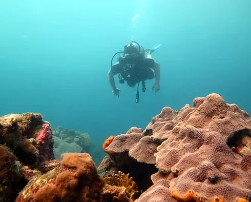 Scuba Diving — Blue Apple Beach, Playa Mamón, Isla Tierra Bomba