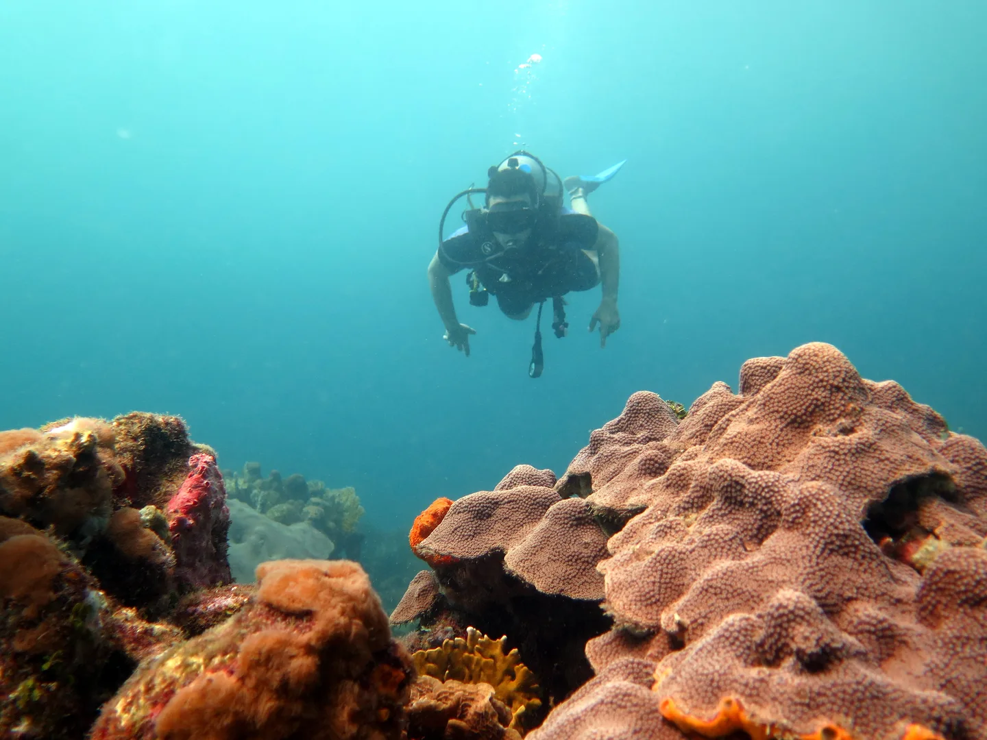 Diver hovering above coral heads
